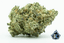 Apple Tarts Buds 3.50 Gram