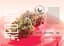 Red Pop Buds 28 Gram