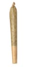 Time Warp 1 Pack Pre Rolls 1 Gram