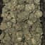 Pave Buds 1 Gram