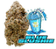 Blue Slush Buds 3.50 Gram