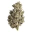 Seaweed Buds 3.50 Gram