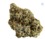 Permanent Marker Buds 14 Gram