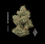 Motorbreath Buds 2.83 Gram