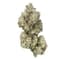 Zombie Buds 3.50 Gram