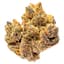 Rocky Mountain High Buds 14 Gram