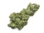 Cherry Kush Buds 3.50 Gram