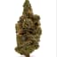 Slurricane Buds 14 Gram