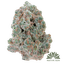 Larry Berry Buds 14 Gram