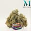 Zushi Buds 3.50 Gram