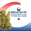 Tom Hill Haze Cartridges 1000 Mg