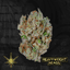 Wet P Buds 3.50 Gram