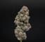 Ravens Revenge Buds 28 Gram
