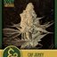 Cap Junky Buds 3.50 Gram