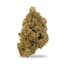 Williams Wonder Buds 3.50 Gram