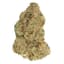 Spiked Mai Tai Buds 7 Gram