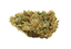 Sage N Sour Buds 3.50 Gram