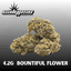Zupernatural [4.2g]