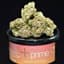Guelah Papaya #9 Buds 7 Gram