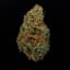 Golden Goat Buds 14 Gram