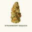 Strawberry Sequoia Buds 3.50 Gram