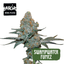 Swamp Water Fumez Buds 3.50 Gram