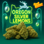 Silver Lemons Buds 3.50 Gram
