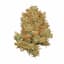 Orange 43 2.83 Gram Flower Buds