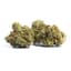 Super Mango Haze Buds 3.50 Gram