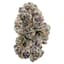 Hell's Kitchen Buds 14 Gram