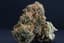Pineapple Express Buds 3.50 Gram