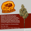Fossil Fuel Buds 28 Gram