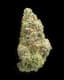 Member Berry Buds 1 Gram