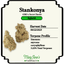 Stankonya Buds 3.50 Gram