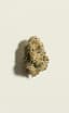Gorilla Milk Buds 28 Gram