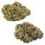 Ultra Sour Buds 28 Gram