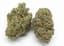 Red Pop Buds 28 Gram