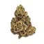 Sunset Sherbert Buds 3.50 Gram