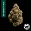 First Class Gas Buds 3.50 Gram