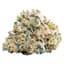 Guava Bomba Buds 3.50 Gram