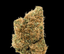 Golden Goat Buds 14 Gram