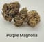 Purple Magnolia Buds 3.50 Gram