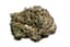 Garlic Cocktail Buds 14 Gram