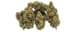 Root Beer Buds 14 Gram