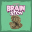 Brain Stew Buds 3.50 Gram
