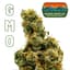 Gmo Buds 3.50 Gram