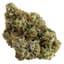 Permanent Marker Buds 14 Gram