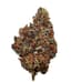 007 Buds 7 Gram