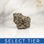 Dior Buds 28 Gram