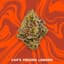 Caps Frozen Lemons Buds 3.50 Gram